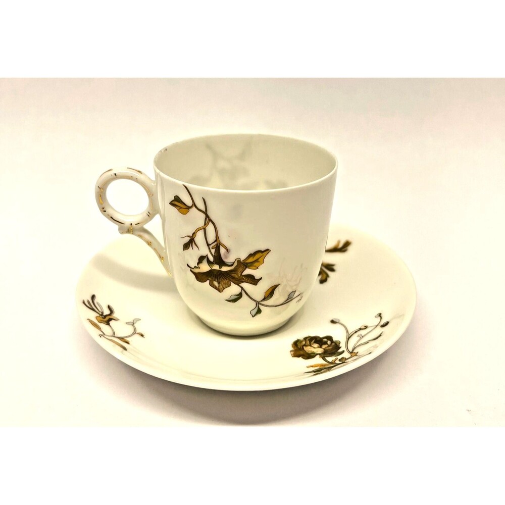 Antique Haviland Limoges Schleiger 1154 Teacup Saucer Tyndale Mitchell Co 1890s